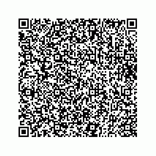 vCard 73833830329