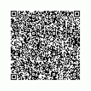 vCard 73833830331