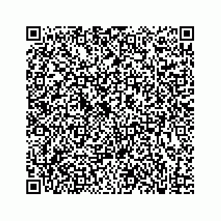 vCard 73833830333