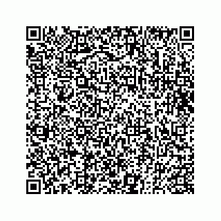 vCard 73833830338