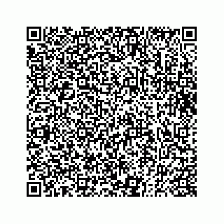 vCard 73833830339