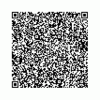 vCard 73833830341