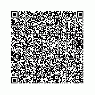 vCard 73833830381