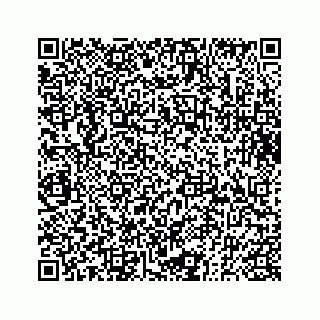 vCard 73833830383