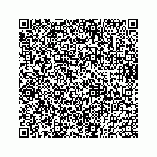 vCard 73833830393