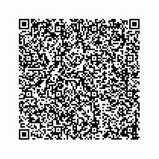 vCard 73834033131