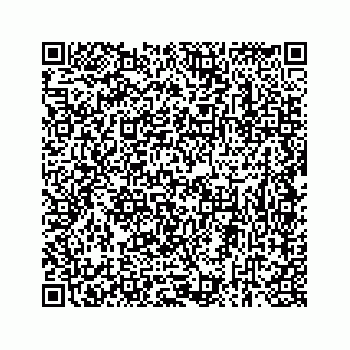 vCard 73834331331
