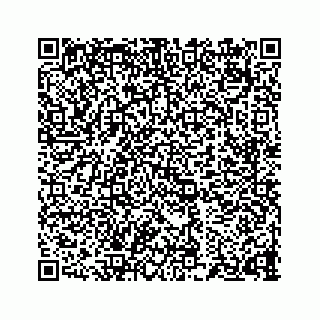 vCard 73834331334