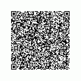 vCard 73834332316