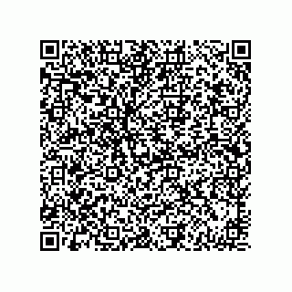 vCard 73834332481