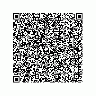 vCard 73834332913