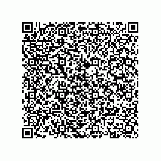 vCard 73834334155