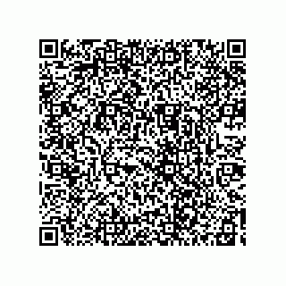 vCard 73834334203