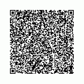vCard 73834355335