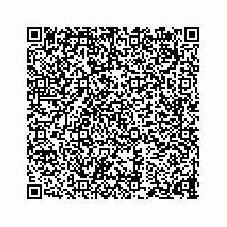 vCard 73834374111
