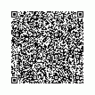 vCard 73834374113