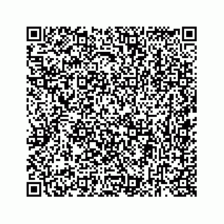 vCard 73834374124