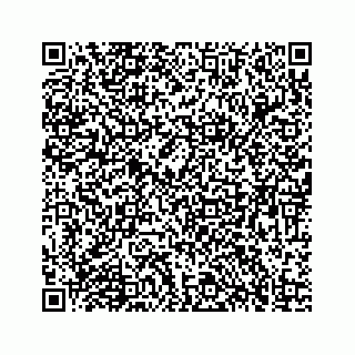 vCard 73834374131