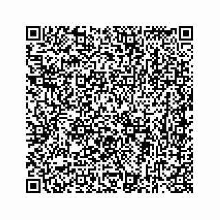 vCard 73834374132
