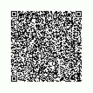 vCard 73834374135