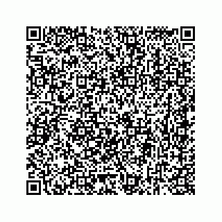 vCard 73834374137