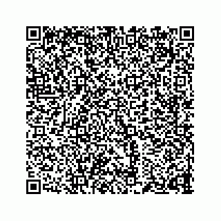 vCard 73834374175