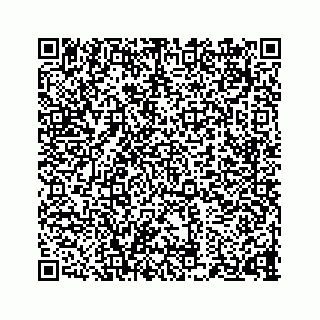 vCard 73834374202