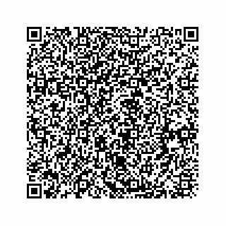 vCard 73834374203