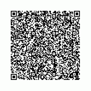 vCard 73834374207