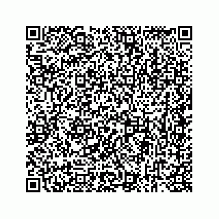 vCard 73834374211