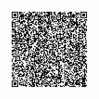 vCard 73834374222
