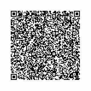 vCard 73834374231