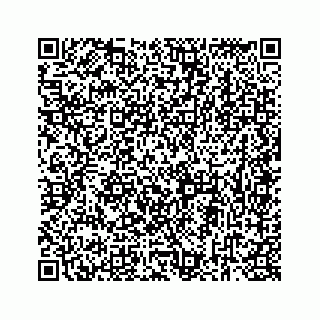 vCard 73834374250