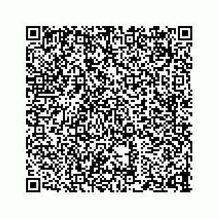 vCard 73834374289