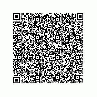 vCard 73834379113