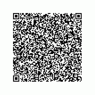 vCard 73834379132