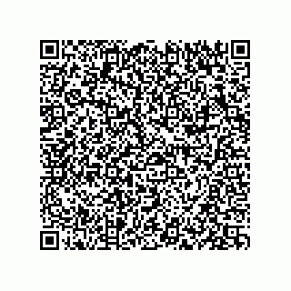 vCard 73834379204