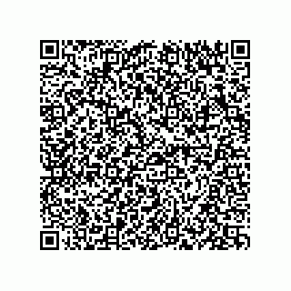vCard 73834379248