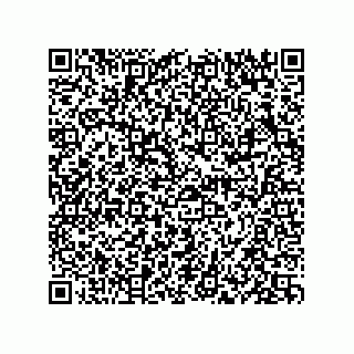 vCard 73834379300
