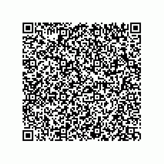 vCard 73834379311