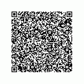 vCard 73834379333