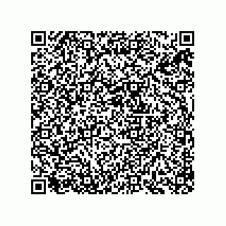 vCard 73834379353