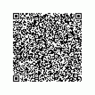 vCard 73834379374