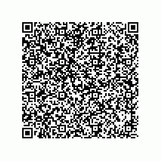 vCard 73834379381