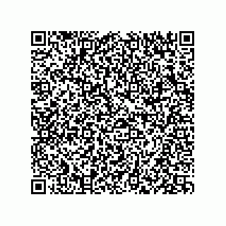 vCard 73834379383