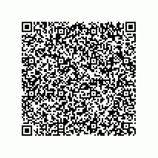 vCard 73834379395