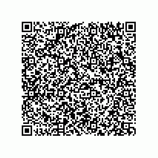 vCard 73834379399