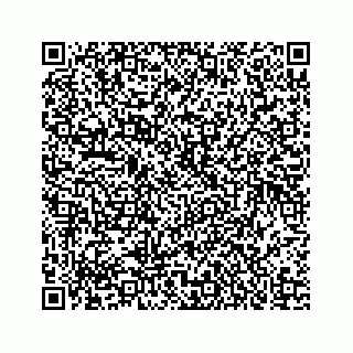 vCard 73834631311