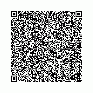 vCard 73834640333