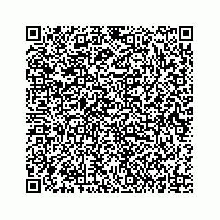 vCard 73834734311